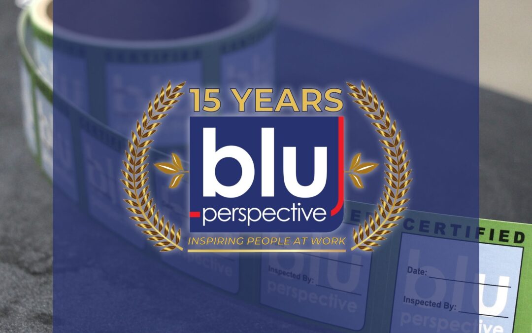 Blu Perspective: 15 Year Anniversary